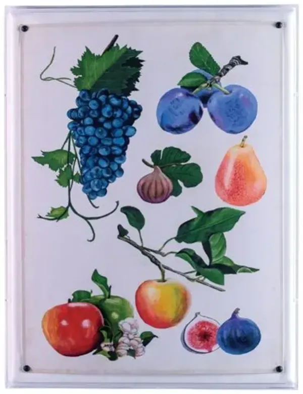 Fruit II Print - 20" x 26" - Port 68 - Multi