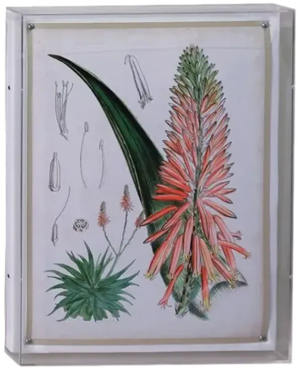 Tropicals I Print - 20" x 26" - Port 68 - Pink