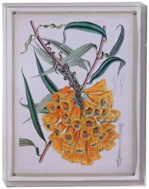 Tropicals VI Print - 20" x 26" - Port 68 - Yellow