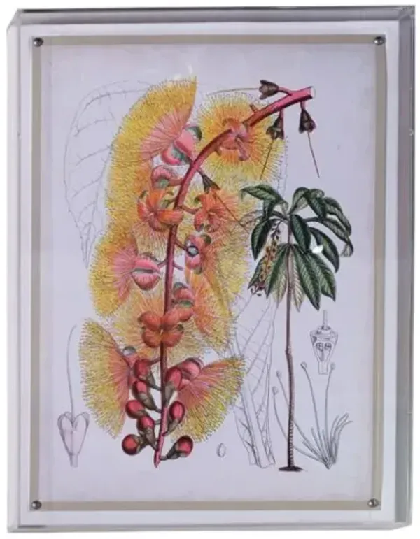 Tropicals VII Print - 20" x 26" - Port 68 - Yellow