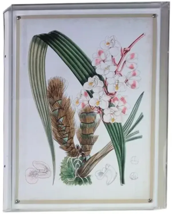 Tropicals VIII Print - 20" x 26" - Port 68 - Multi