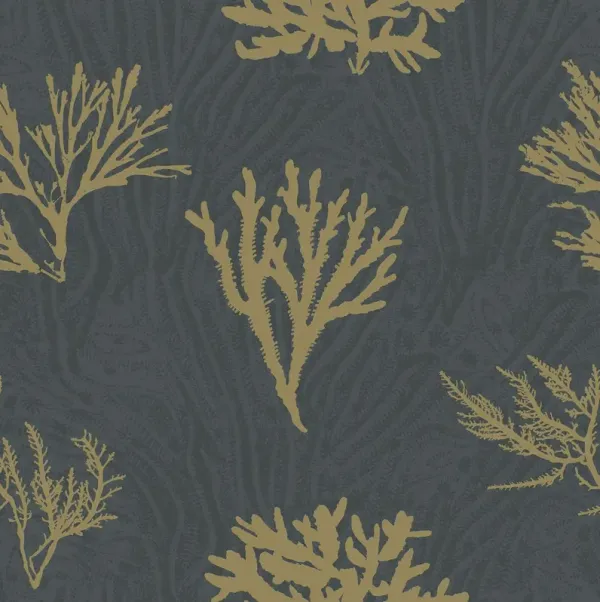 Yuki Osada, Sealife Wallpaper, Black