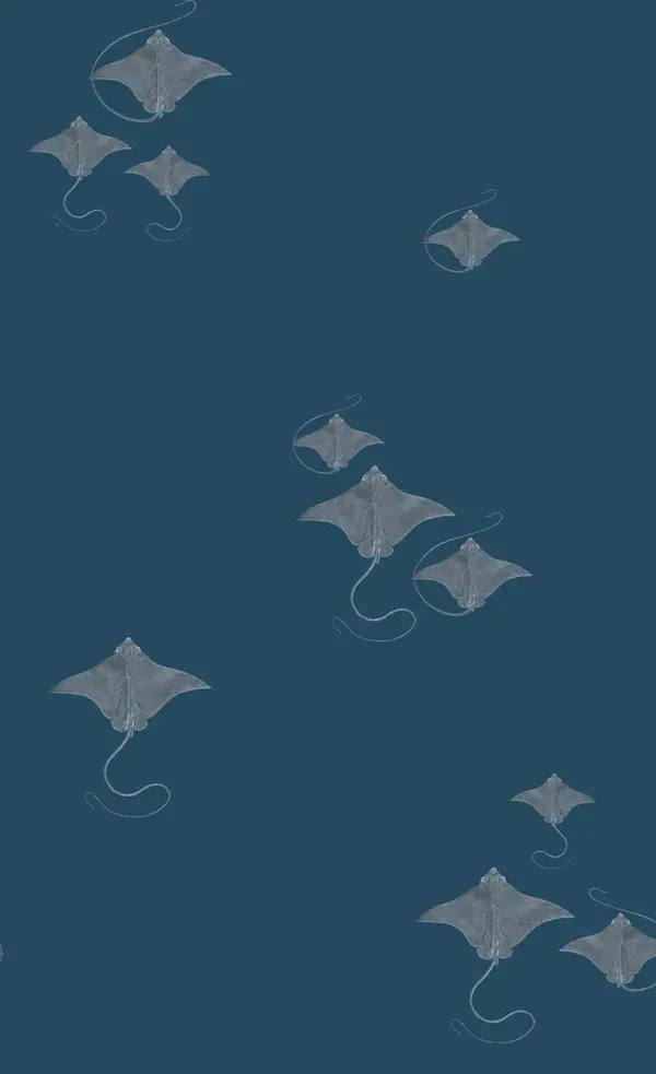 Yuki Osada, Bat Rays Wallpaper