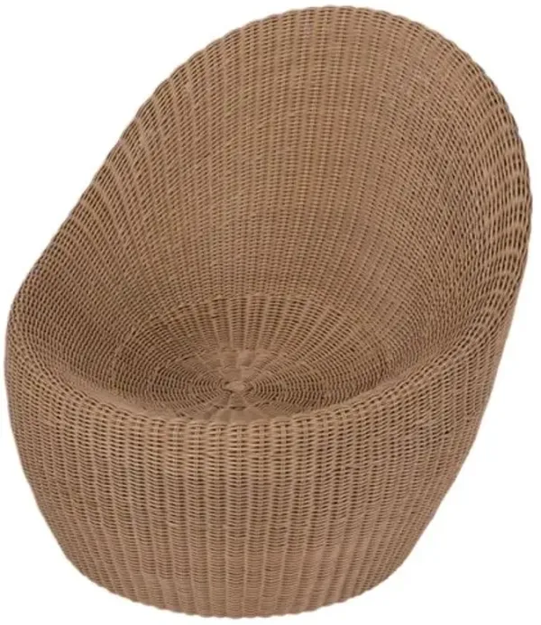 Dunham Rattan Outdoor Nest Chair - Natural - Brown