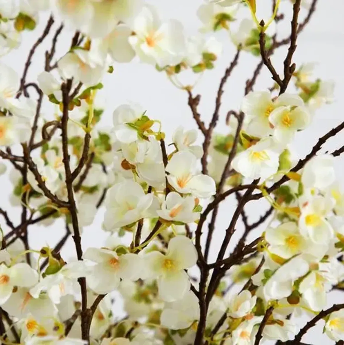 32" Faux Cherry Blossom Arrangement in Cylinder Glass Vase - White