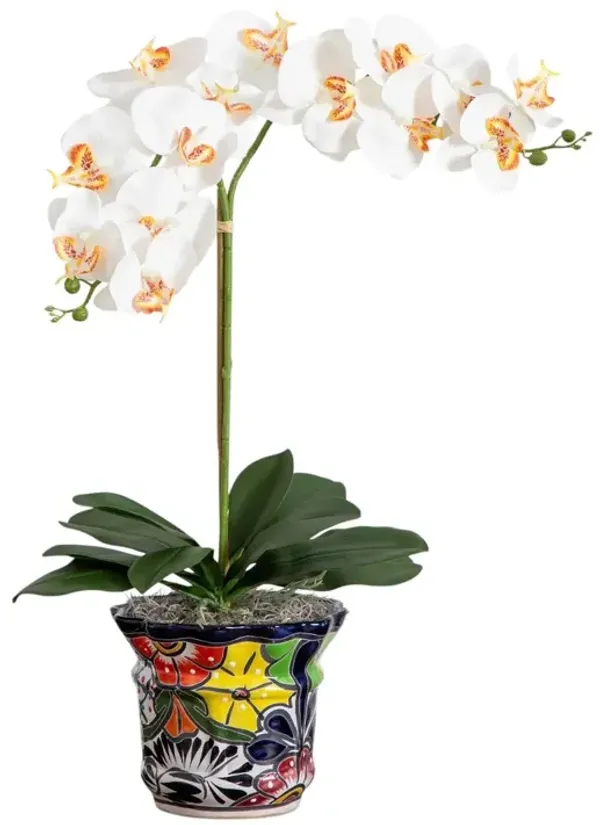 26" Faux Double Orchid Arrangement in Handmade Mexican Talavera Ceramic Planter