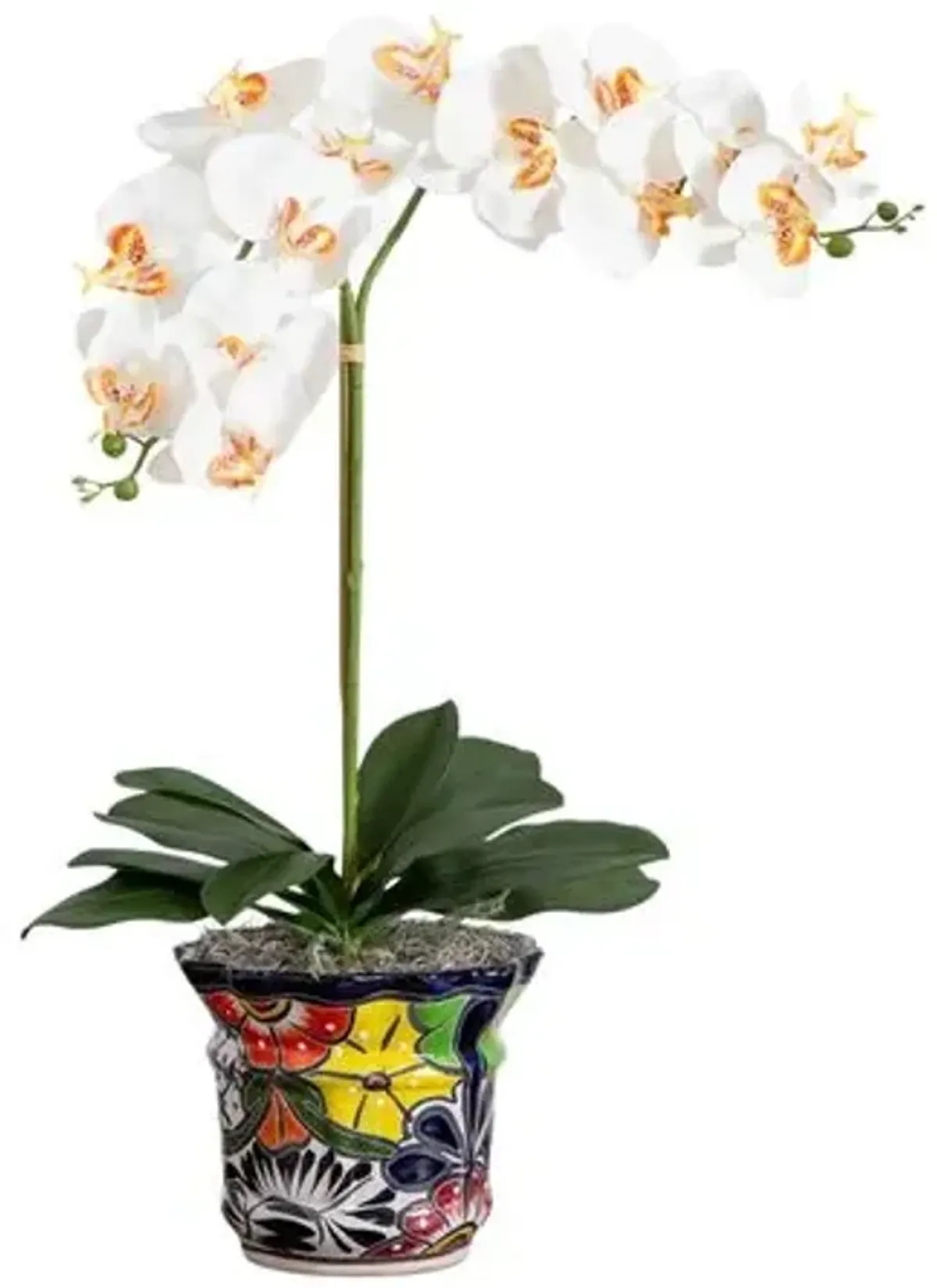 26" Faux Double Orchid Arrangement in Handmade Mexican Talavera Ceramic Planter - Handcrafted - White - 26Hx19Wx17D in