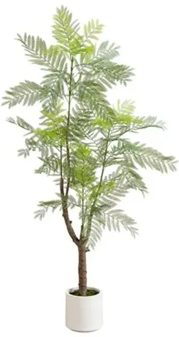 6ft Faux Minimalist Jacaranda Tree in White Decorative Planter - Green - 72Hx29Wx29D in