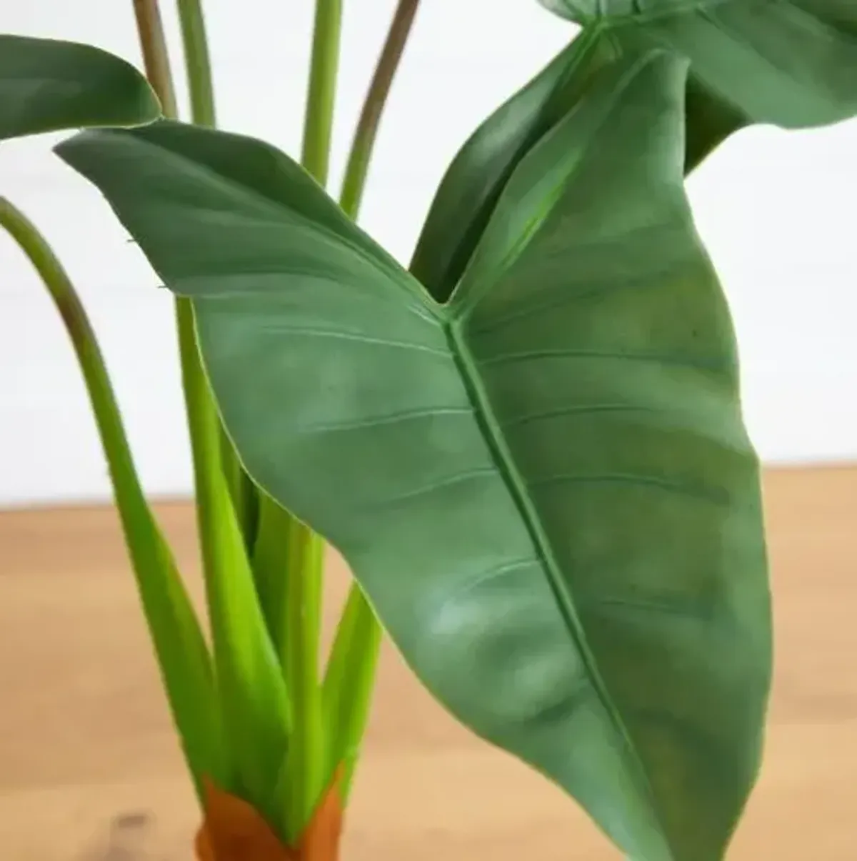 Faux Arrowhead Philodendron in White Decorative Planter - Green - 3.5ft