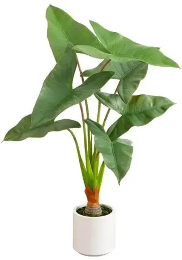 Faux Arrowhead Philodendron in White Decorative Planter - Green - 3.5ft