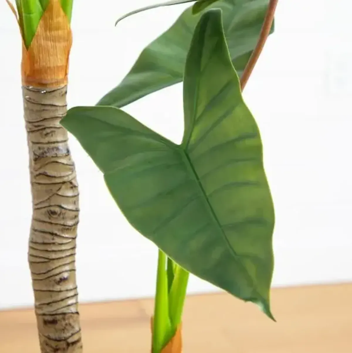 Faux Arrowhead Philodendron in White Decorative Planter - Green - 5.5ft