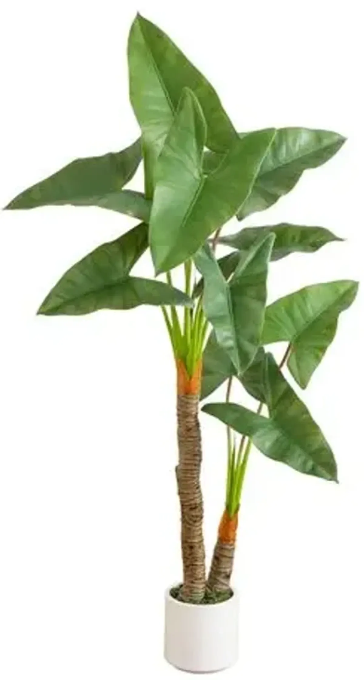 Faux Arrowhead Philodendron in White Decorative Planter - Green - 5.5ft