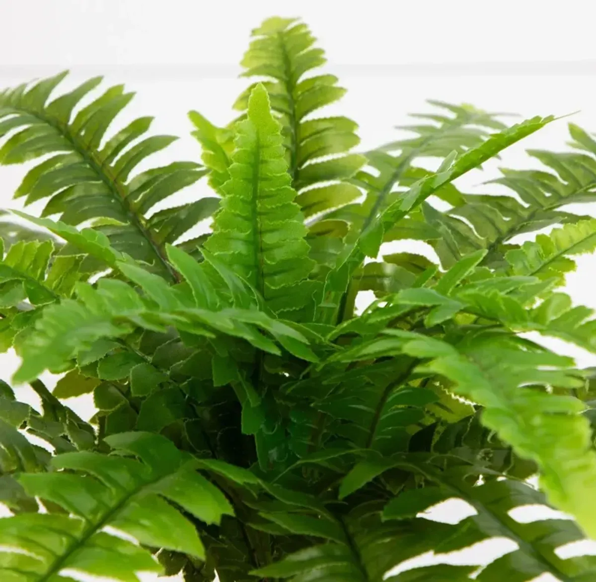 S/2 14" Faux UV Resistant Indoor/Outdoor Boston Ferns