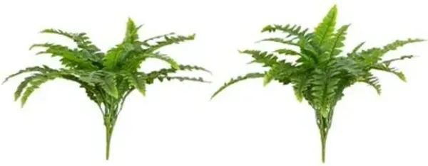 Set of 2 14" Faux UV Resistant Indoor/Outdoor Boston Ferns - Green