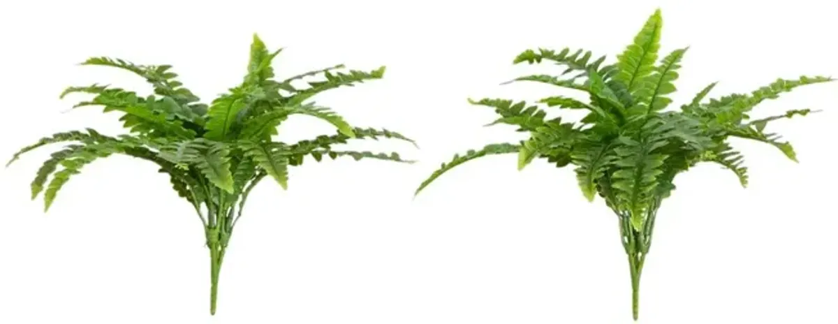 S/2 14" Faux UV Resistant Indoor/Outdoor Boston Ferns