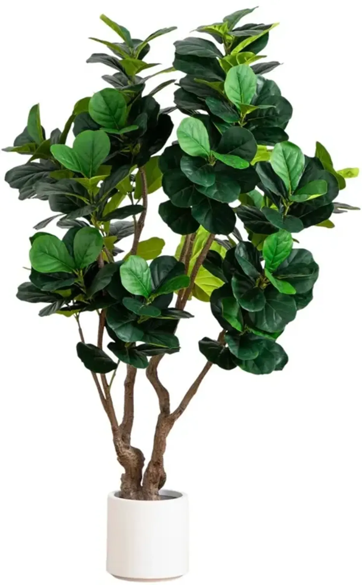 Faux Grand Fiddle Leaf Tree in White Decorative Planter