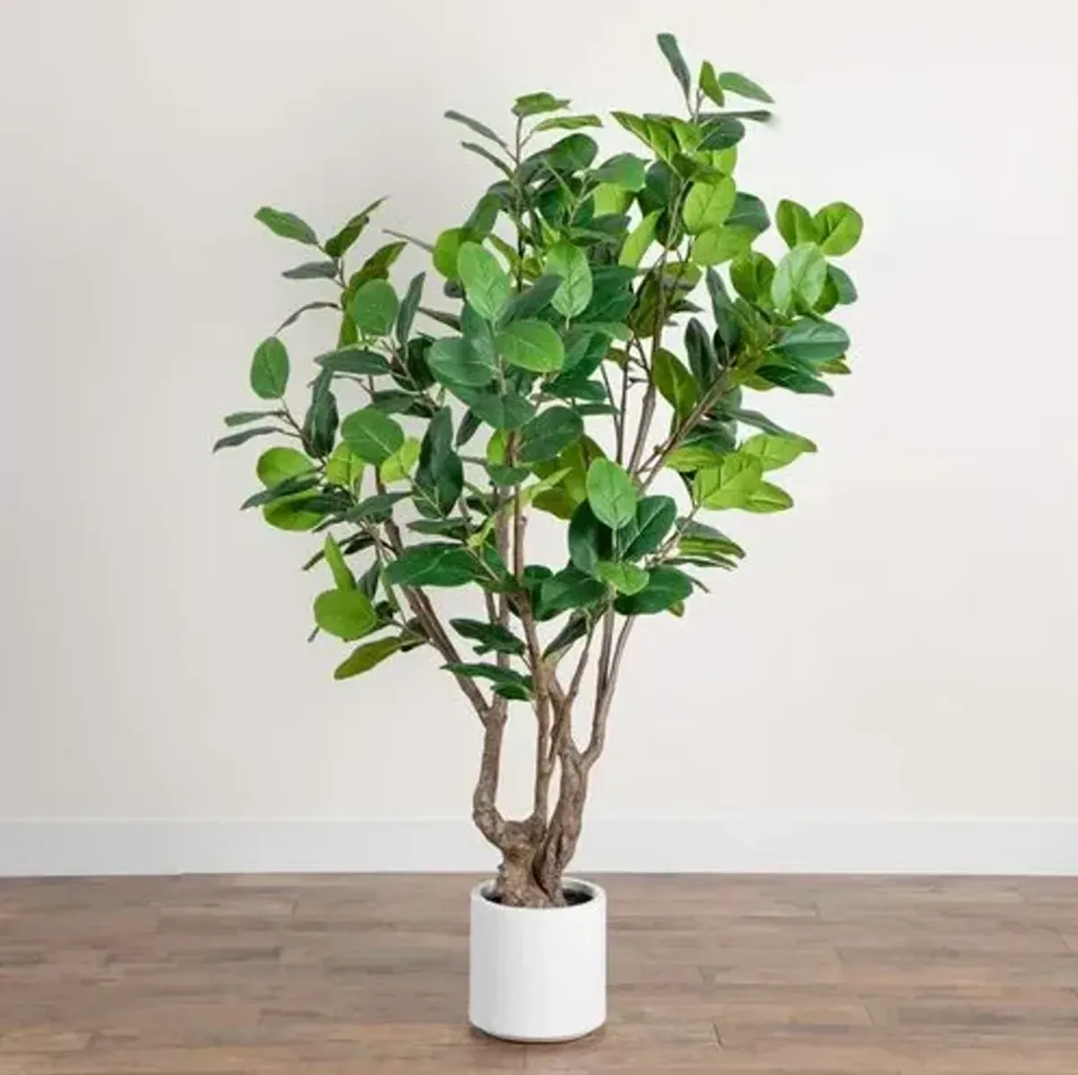6ft Faux Audrey Ficus Leaf Tree in White Decorative Planter - Green - 72Hx42Wx42D in