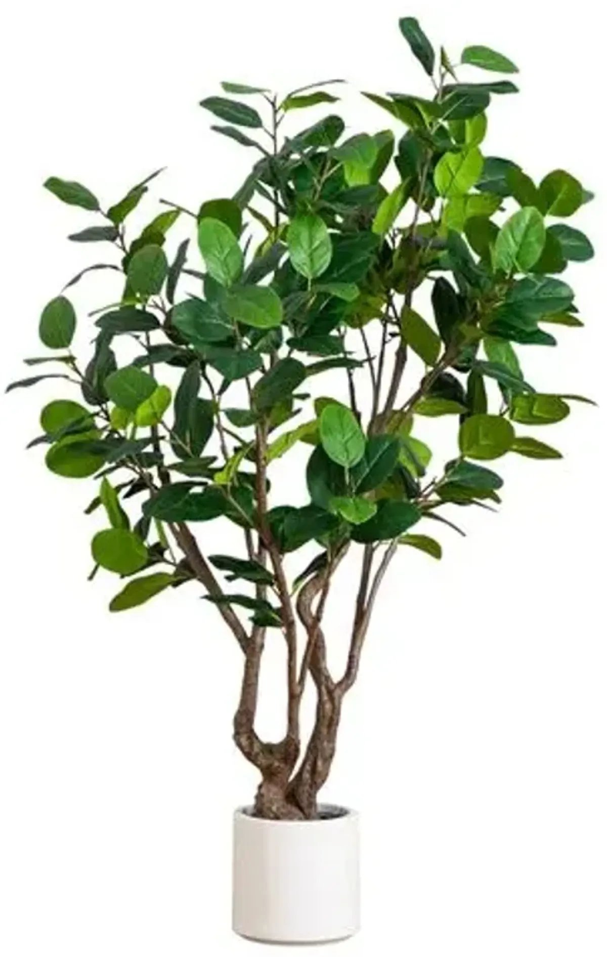 6ft Faux Audrey Ficus Leaf Tree in White Decorative Planter - Green - 72Hx42Wx42D in