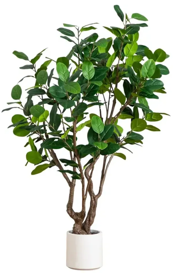 6ft Faux Audrey Ficus Leaf Tree in White Decorative Planter