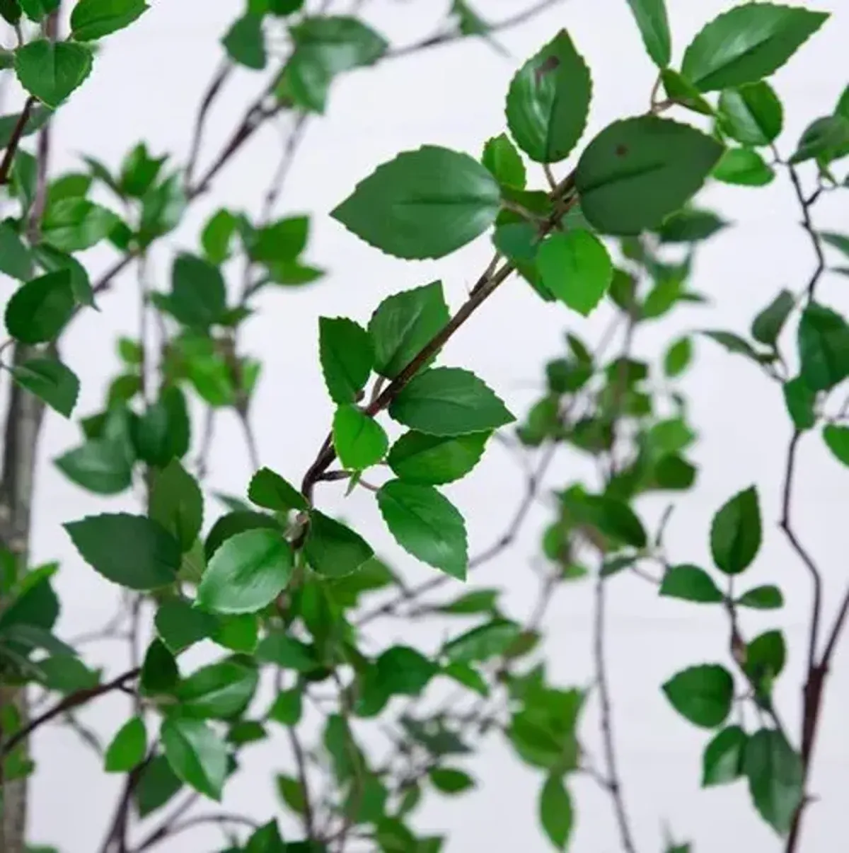10ft Faux Minimalist Citrus Tree - Green