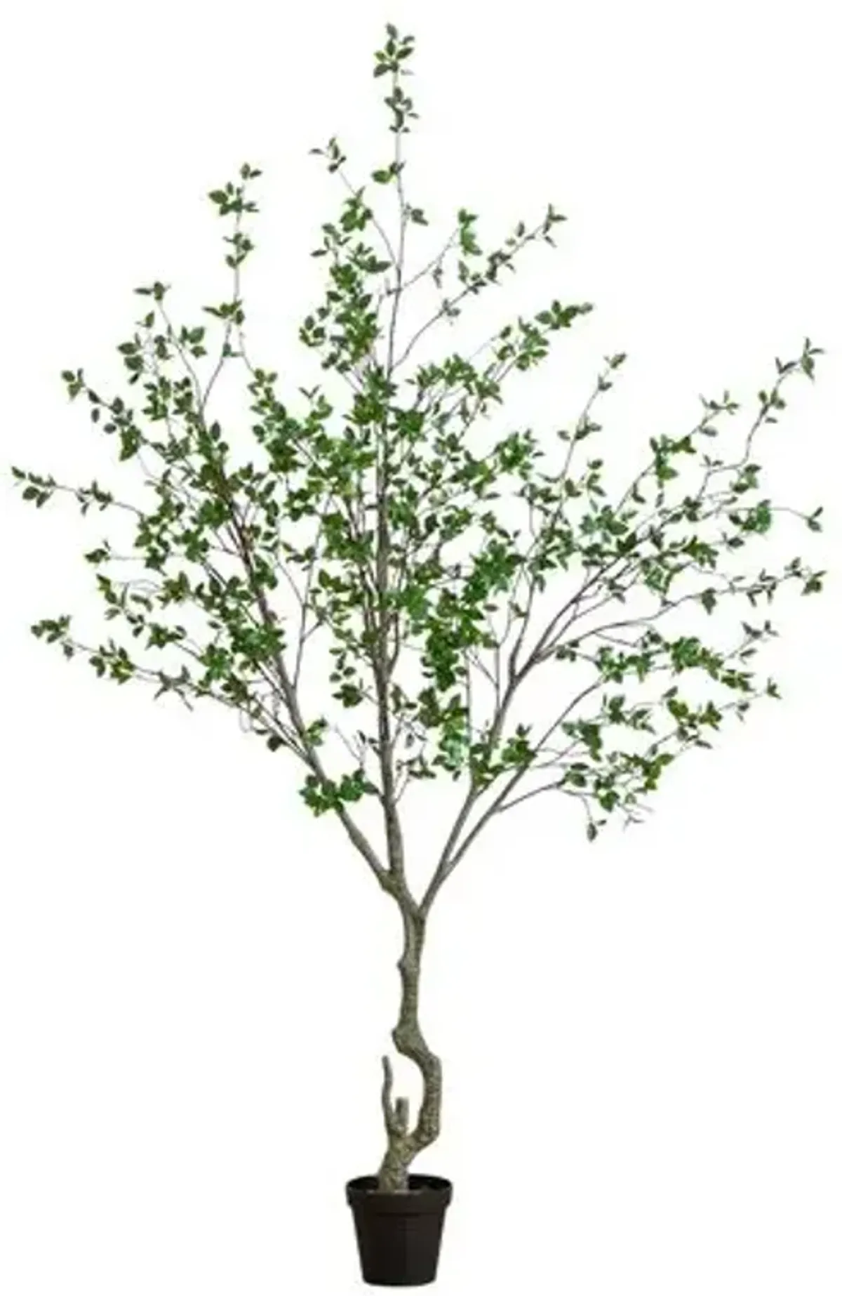 10ft Faux Minimalist Citrus Tree - Green