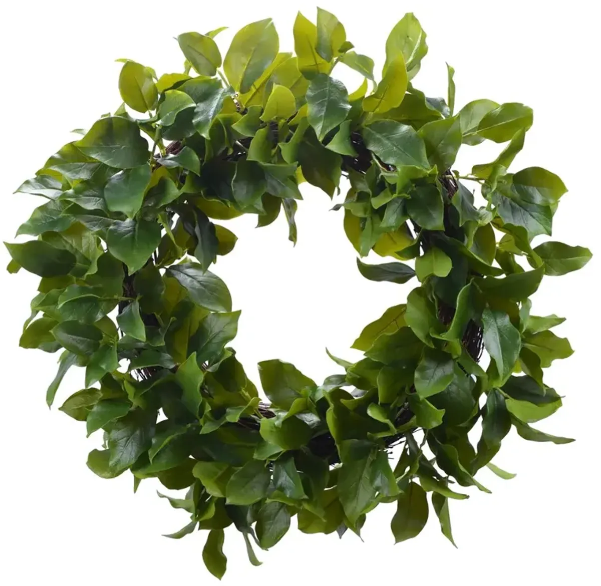 24" Salal Leaf Wreath, Green