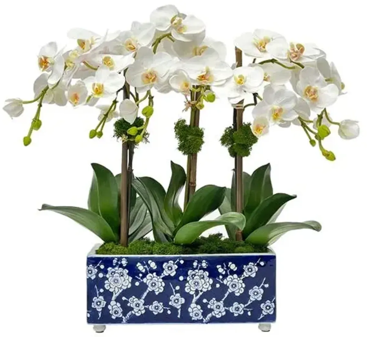 Faux Orchid in Porcelain Arranger - White/Blue