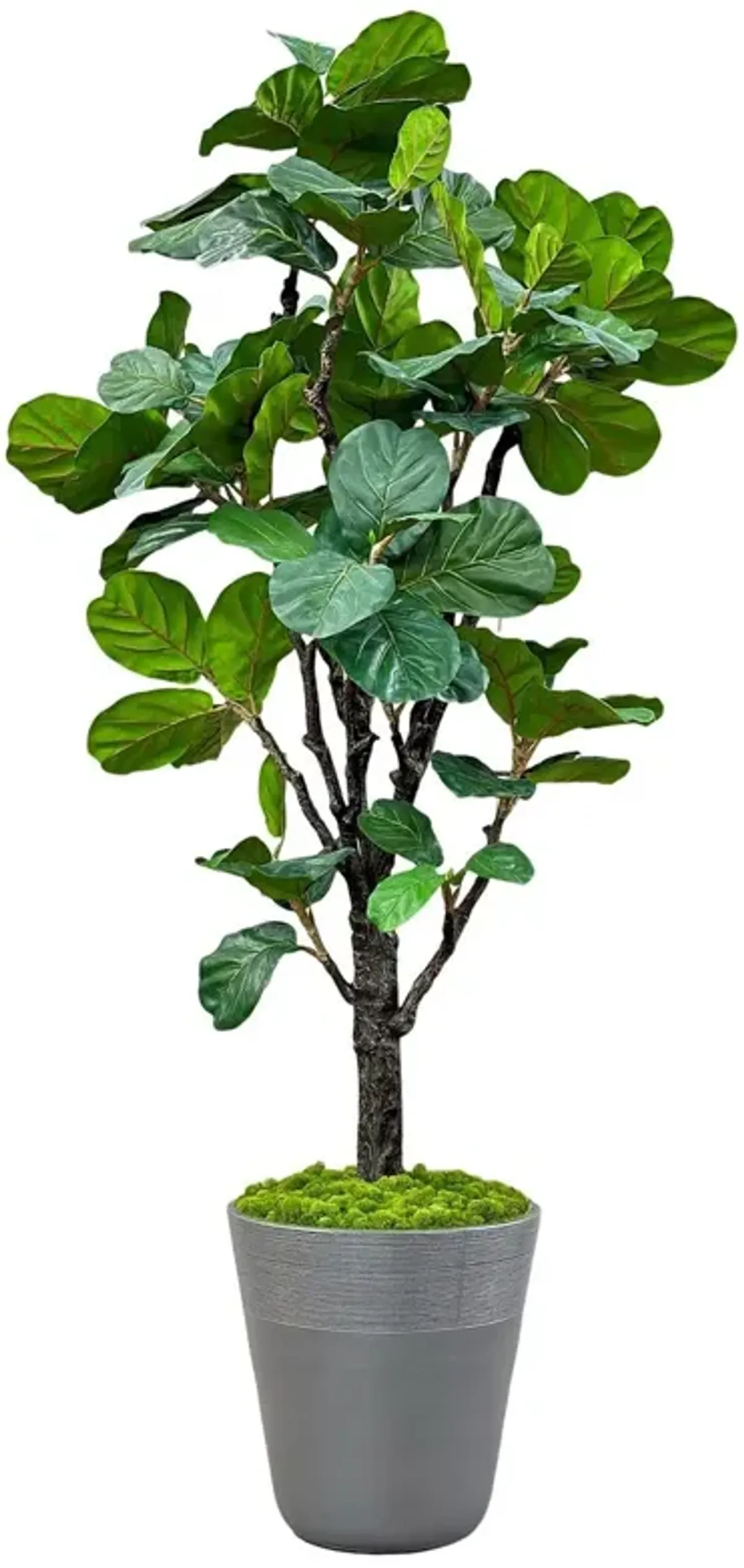 Faux Fiddle Leaf Tree In Planter, Green/Grey