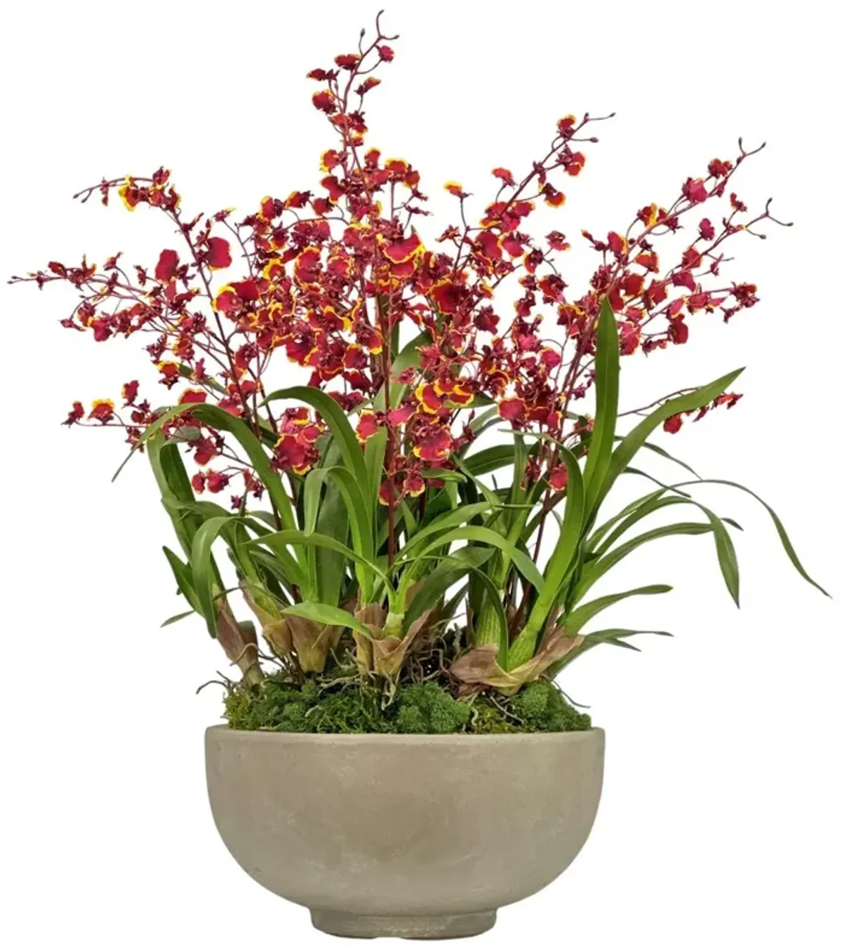 Faux Dancing Oncidium In Bowl, Green/Burgundy
