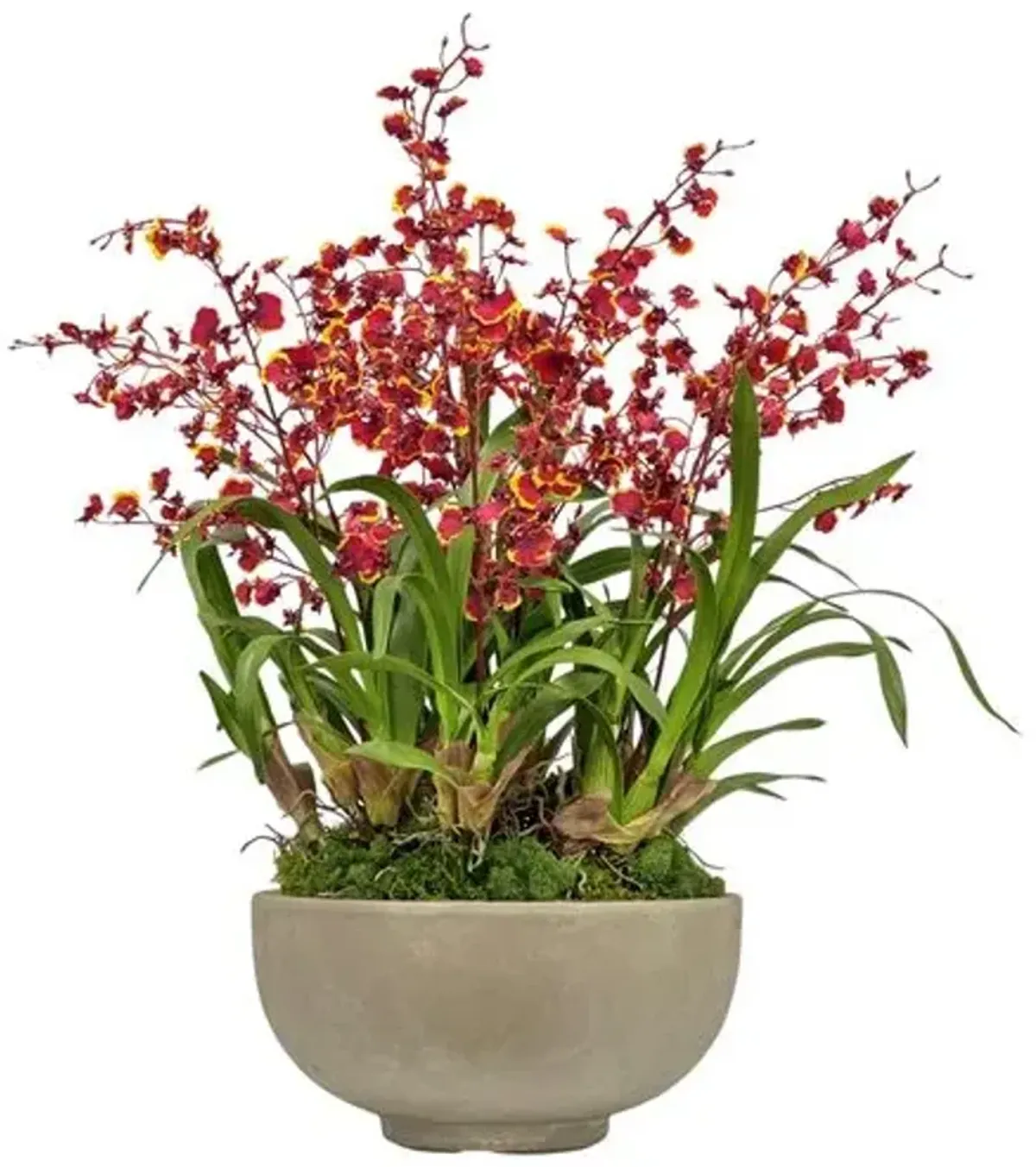 Faux Dancing Oncidium In Bowl - Green/Burgundy