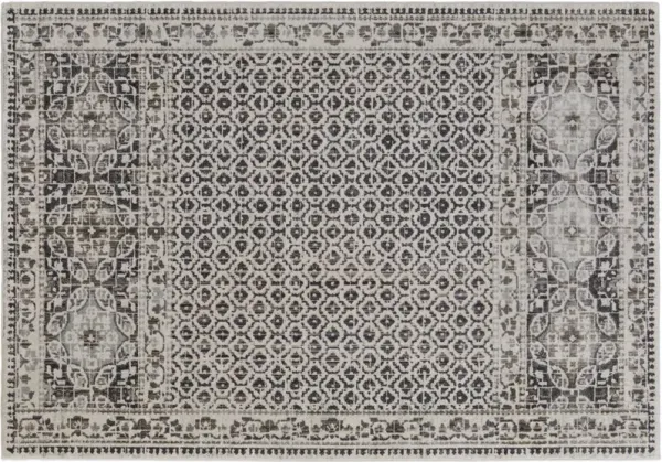 Kiba II Distressed Rug, Ivory/Taupe