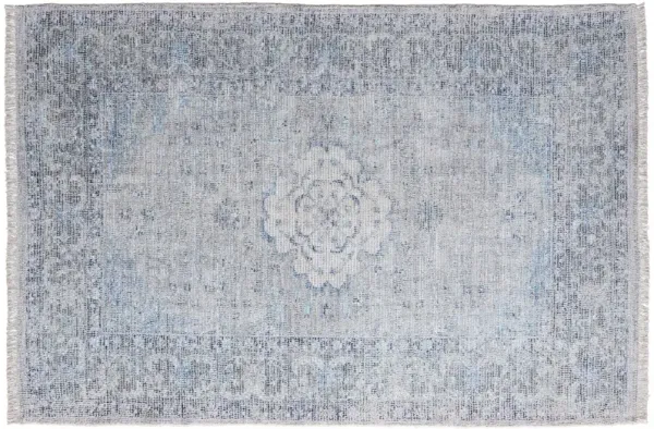 Ramey Transitional Medallion Rug