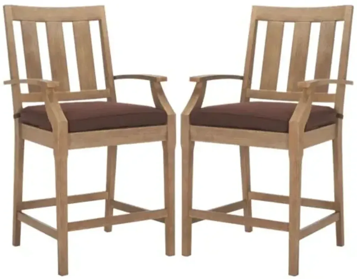 Set of 2 Caius Outdoor Eucalyptus Patio Counter Stools