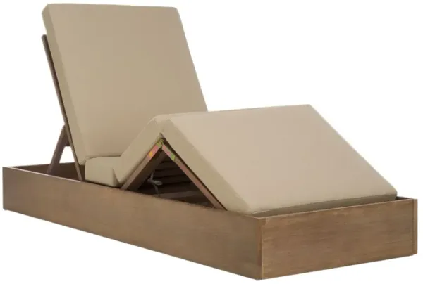 Paxton Outdoor Eucalyptus Chaise Lounge