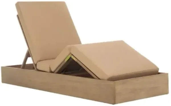Paxton Outdoor Eucalyptus Chaise Lounge - Brown - Comfortable, Sturdy, Stylish