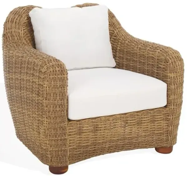 Renata Outdoor Wicker Patio Chair - Natural/White - Brown