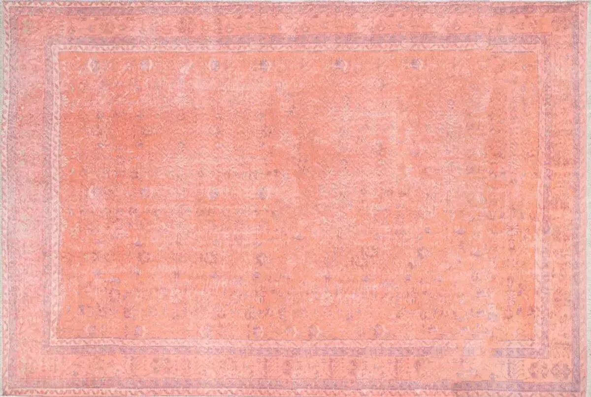 Andi Rug, Coral