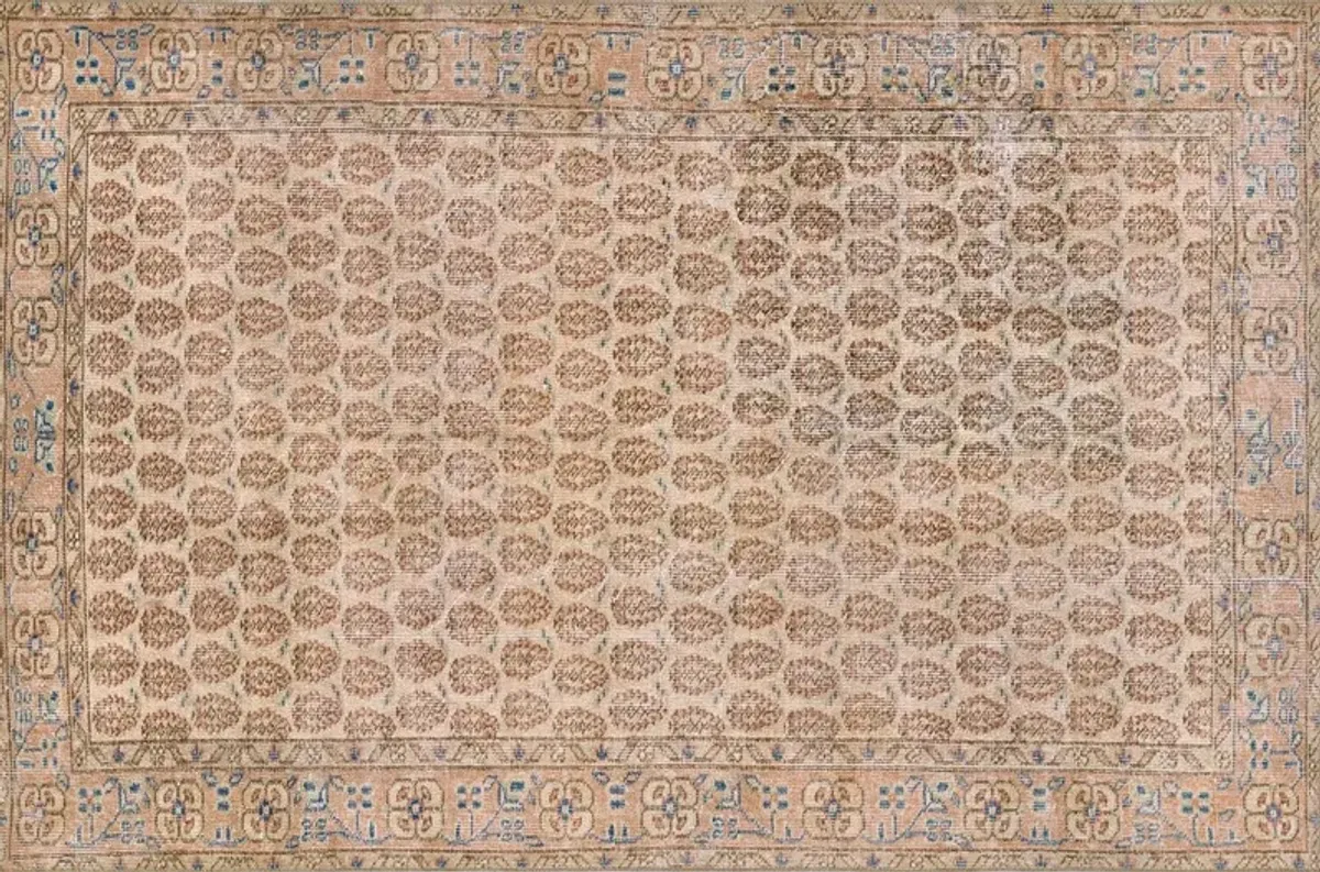 Dorset Rug, Blush