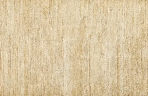 Calypso Hand Knotted Jute/Cotton Rug