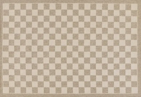 Saybrook Checkered Indoor/Outdoor Rug
