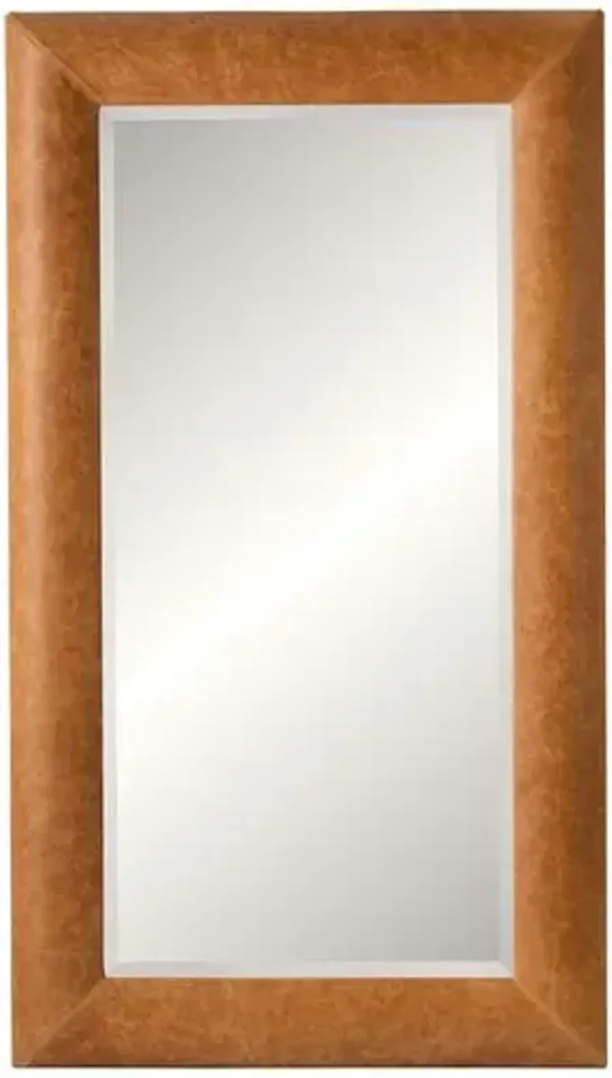 Desmira 44" x 78" Leather Floor Mirror - Brown