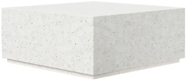 Elwood Indoor/Outdoor Square Concrete Coffee Table
