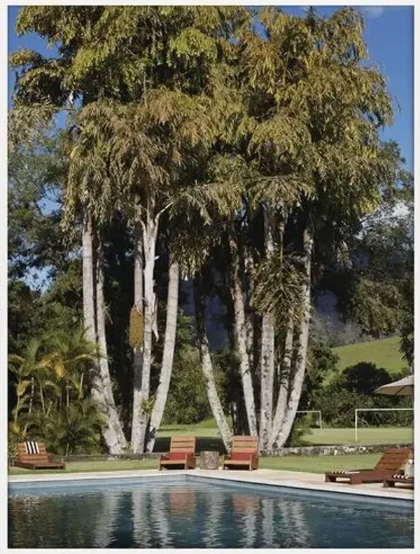 Happy Trees Photo - 24" x 32" - Zoe Bios Creative - Green