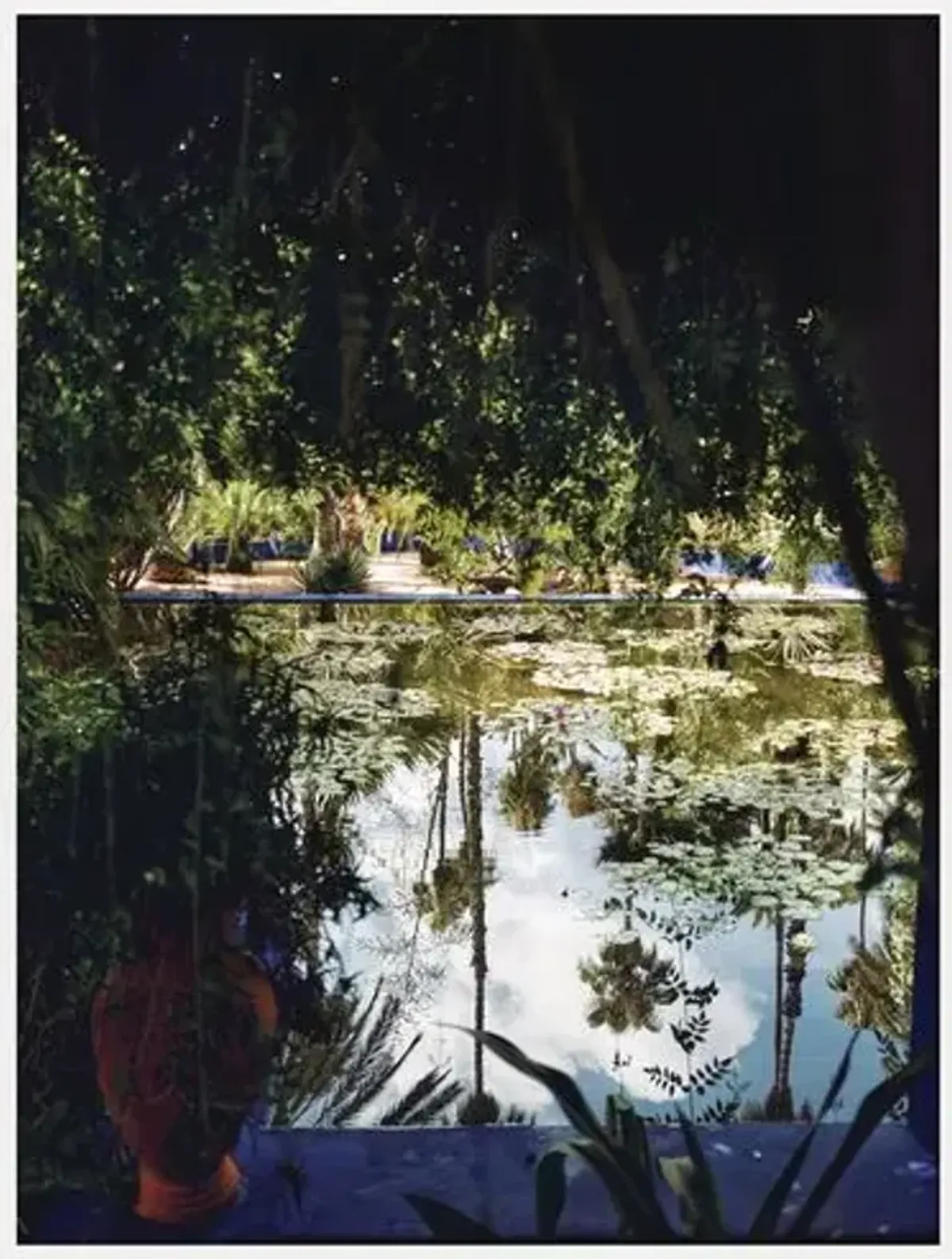 Water Mirror Photo - 24" x 32" - Zoe Bios Creative - Green