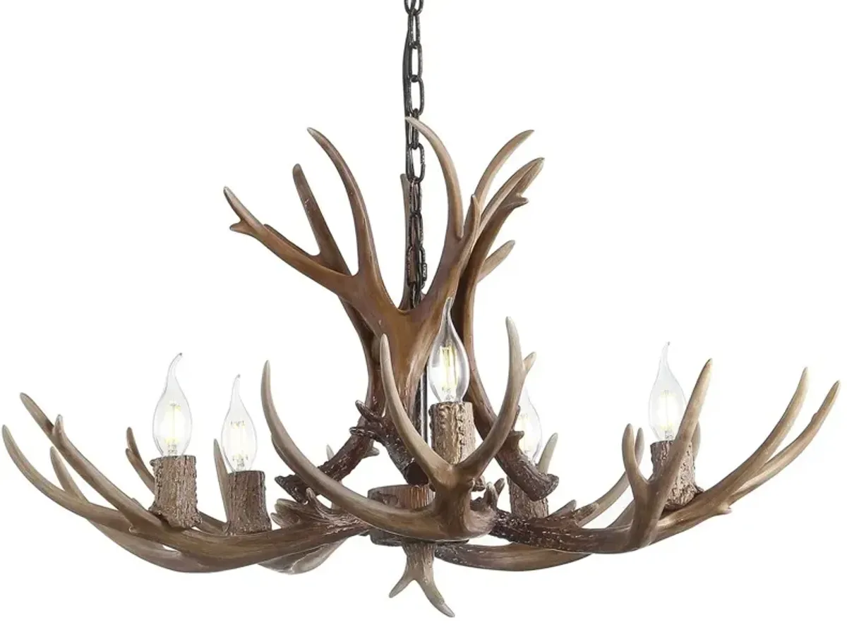 Krystos 5-Light Resin Antler Chandelier - Brown
