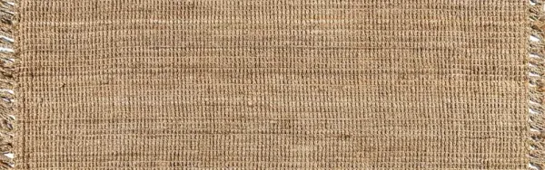 Fria Hand Woven Fringe Jute Rug