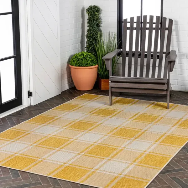 Rynara Farmhouse Gingham Rug