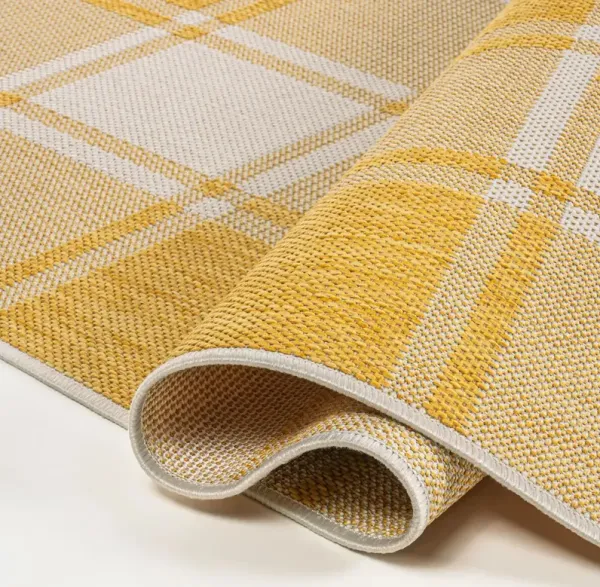 Rynara Farmhouse Gingham Rug