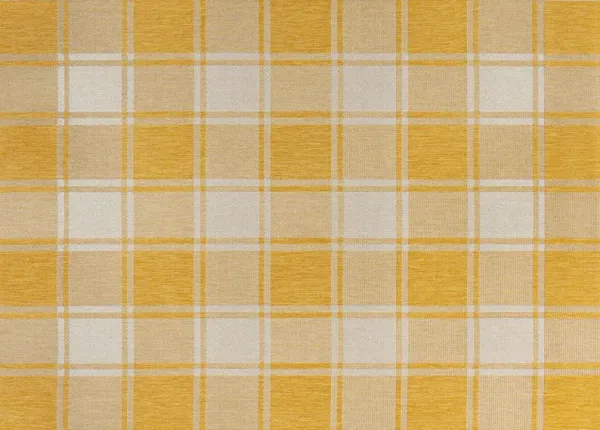 Rynara Farmhouse Gingham Rug