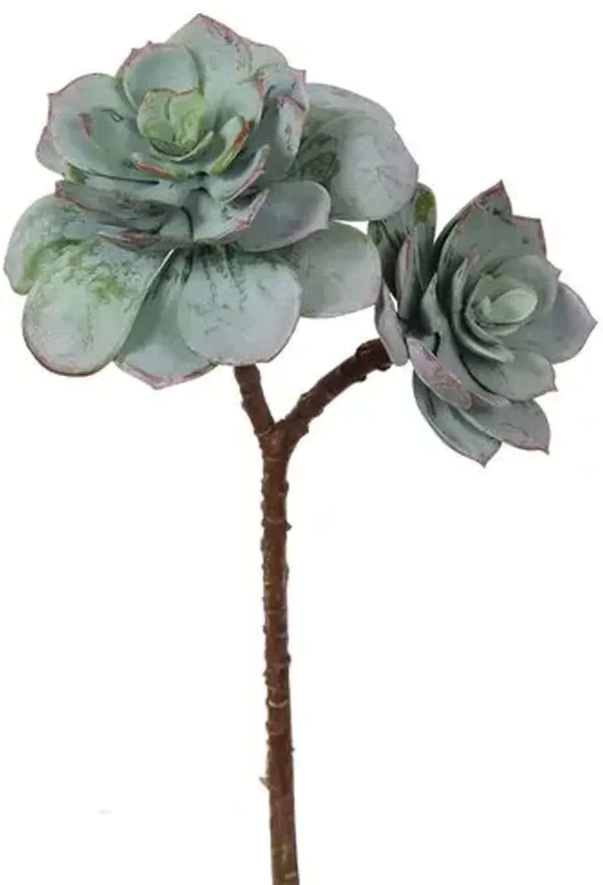 10" Succulent Stem - Set of 24 - Green